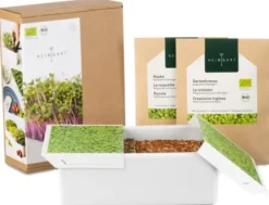 Anzuchtset Microgreens