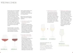 Endlich Wein verstehen