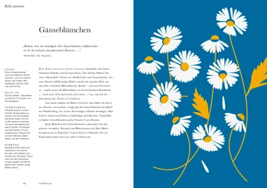 Herbarium