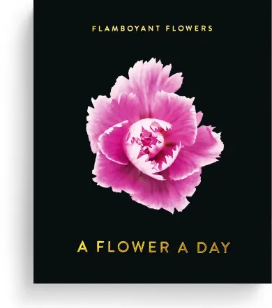 Jahreskalender Flamboyant Flowers
