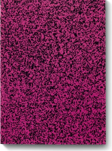Notizbuch Splash