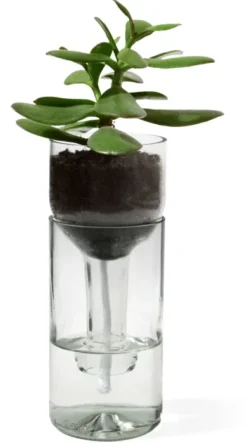 Pflanzgefäß Self Watering Bottle