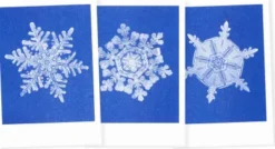 Postkarten-Set Riso Winter