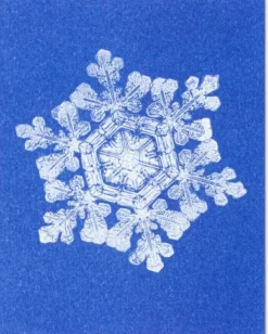 Postkarten-Set Riso Winter
