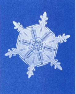Postkarten-Set Riso Winter