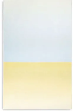 Schurwolldecke Gradient