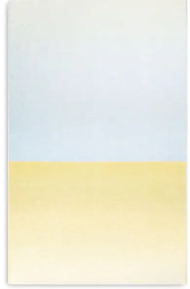 Schurwolldecke Gradient