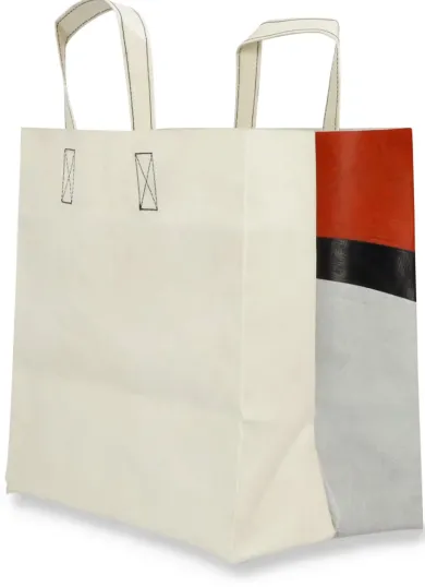 Tasche F250 Sonny