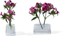 Vase Michi Kusa