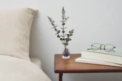 Vase Michi Kusa