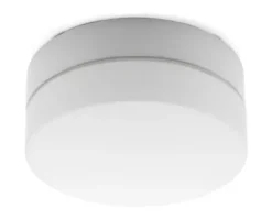 Wand- und Deckenleuchte Zylinder LED
