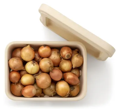 Zwiebelkasten Rehau